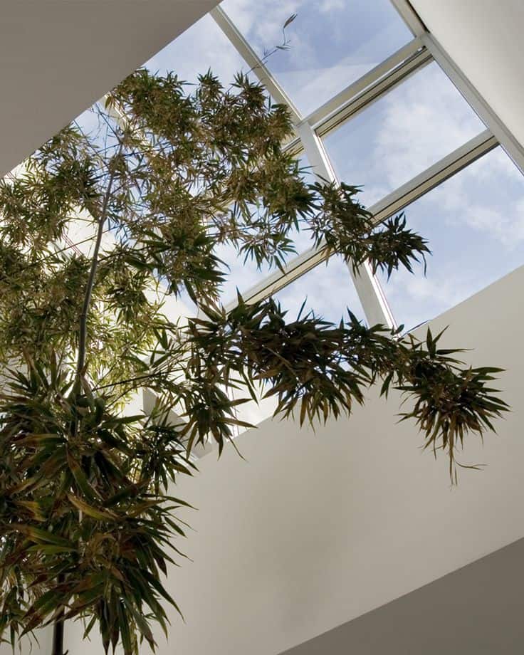 Diseño sostenible con luz natural